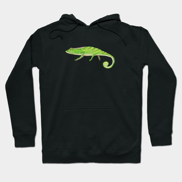 Chameleon Hoodie by Das Brooklyn